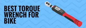 bike torque wrench reviews